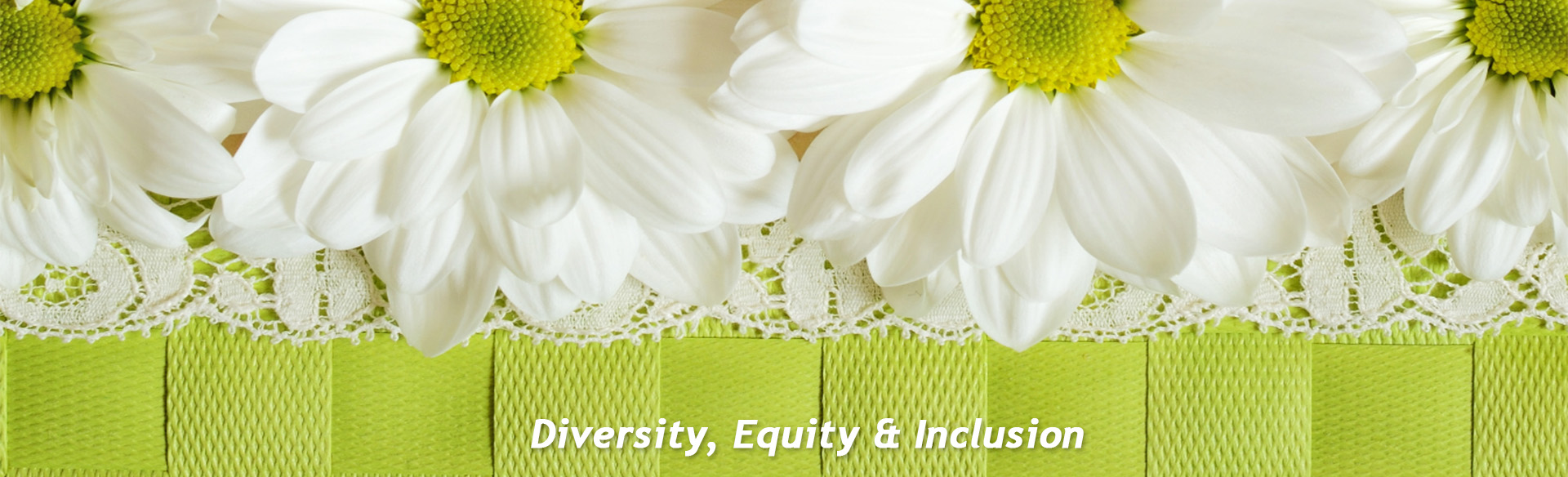 Diversity, Equity & Inclusion